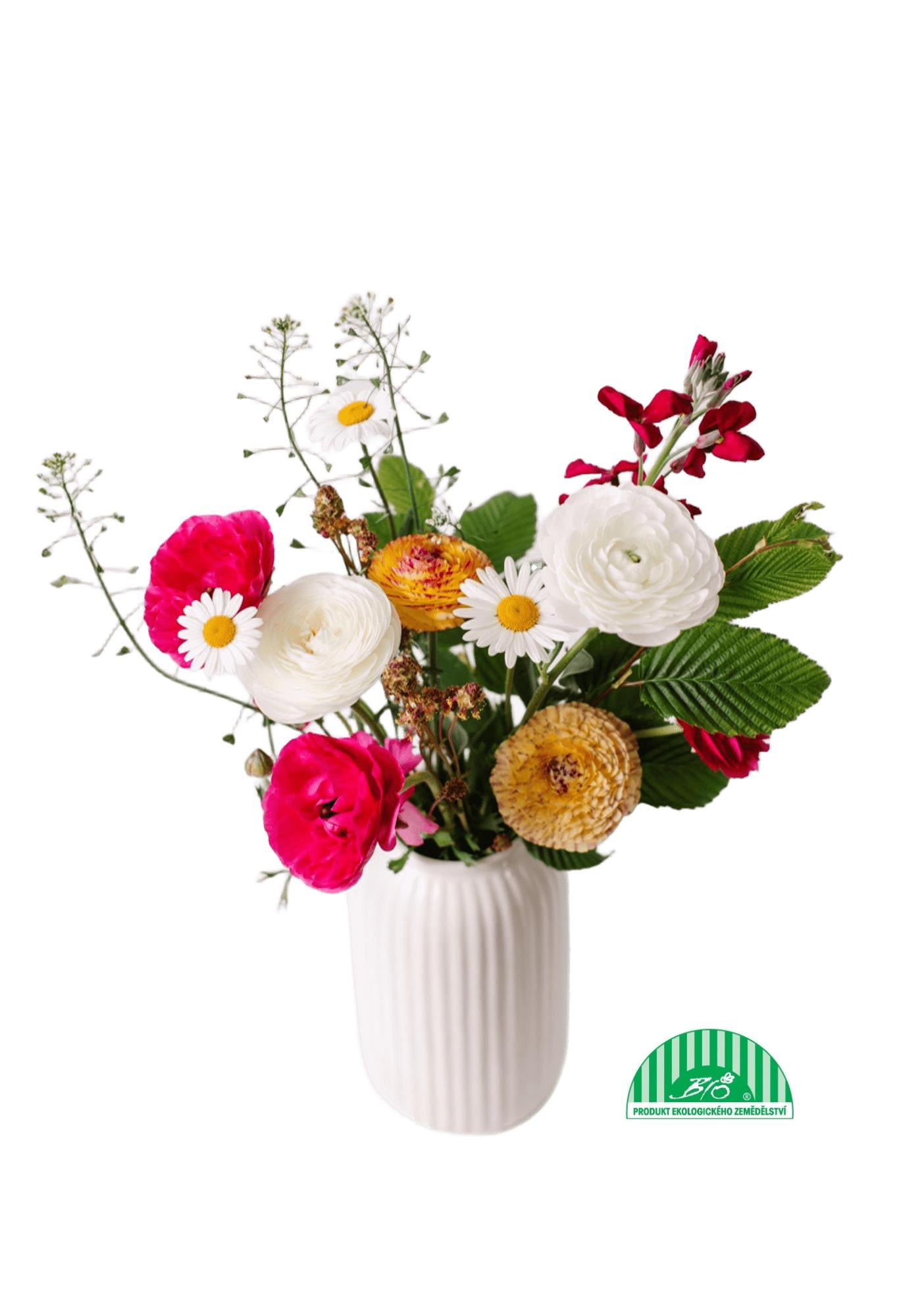 Vitenplant BIO Kytice jarní "Double joy"