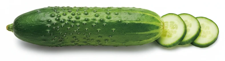 Okurka salátová