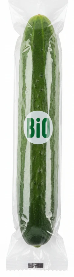 Bio okurka salátová