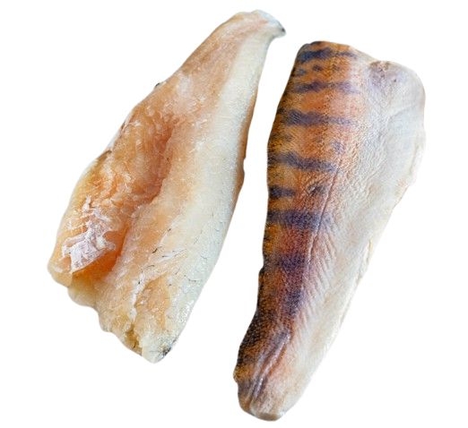Candát filet s kůží