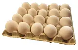 Vejce L20 podestýlka