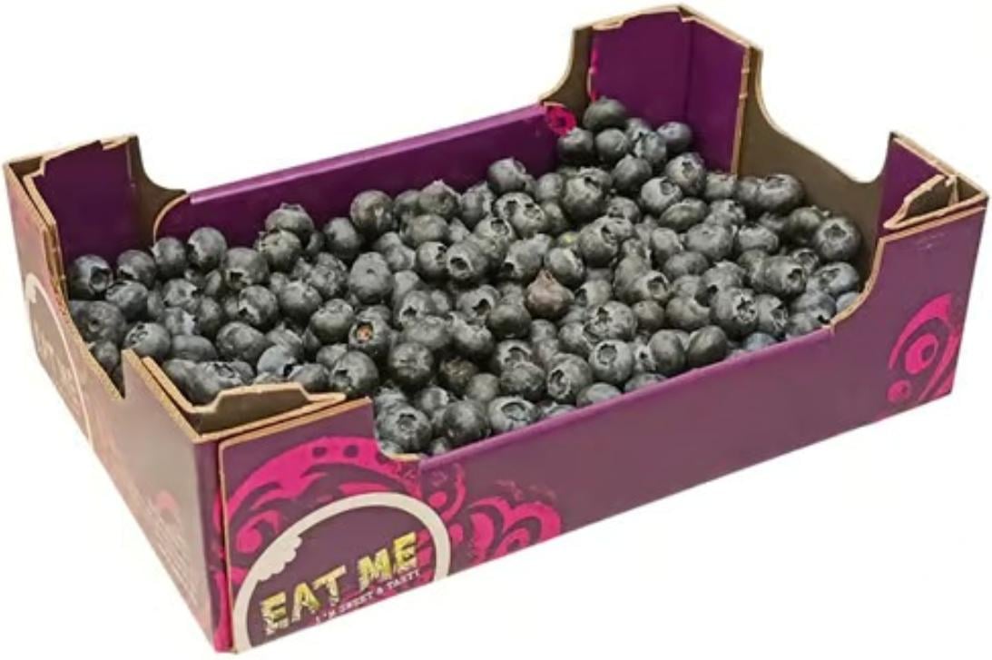 Borůvky kanadské XXL balení, bedýnka
