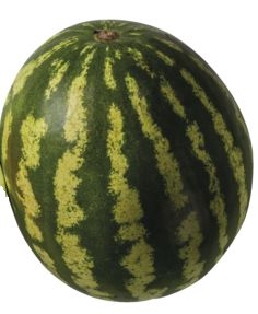 BIO Meloun vodní mini 1 ks