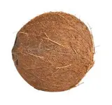 Kokosový ořech mladý B 900 g čerstvý 1 ks