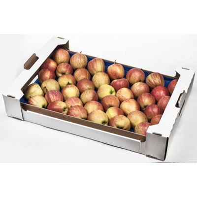 Jablka Gala 70+ I. čerstvá 6,5 kg