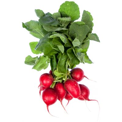 Ředkvičky s natí čerstvé 1 ks svazek