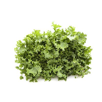 Salát Frisée čerstvý bělený srdce 1 ks