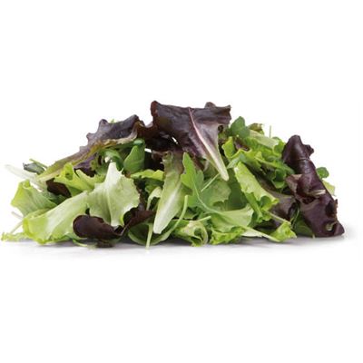 METRO Chef Salát Quattro Gusti nepraný 500 g vanička