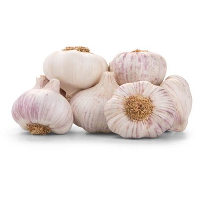 Česnek Morado CZ čerstvý 250 g