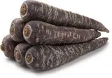 Mrkev karotka fialová 100/300 I. čerstvá 1 kg