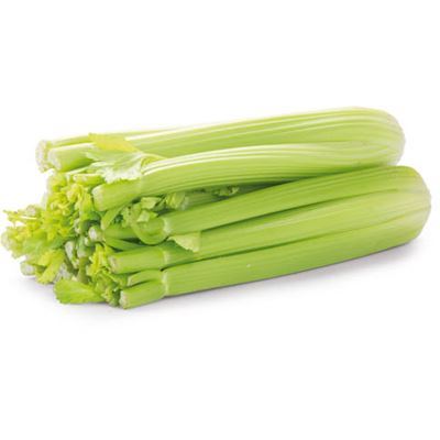 Celer řapíkatý 400 g+ čerstvý 1 ks