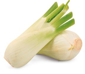 Fenykl čerstvý váž. 2 ks tácek