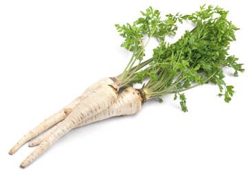 Petržel kořenová CZ cca 1 kg