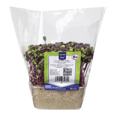 METRO Chef Microgreens - Zelí červené 1 ks
