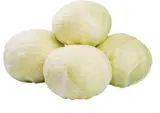 Kapusta hlávková čerstvá váž. cca 8 kg