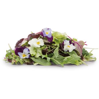 Fino Salát Mesclun květy neprané 125 g