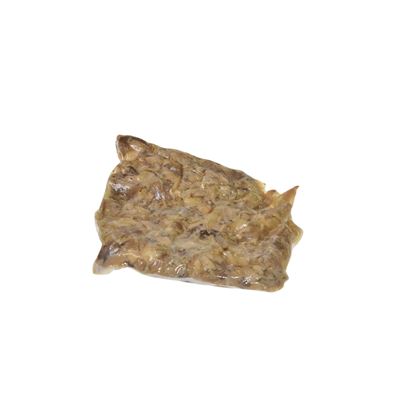 Hlíva ústřičná vařená krájená na nudličky 1 kg