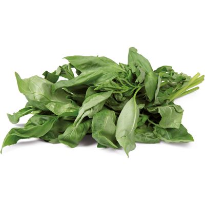 METRO Chef Bazalka čerstvá 500 g