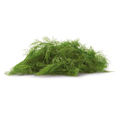 METRO Chef Kopr čerstvý 500 g