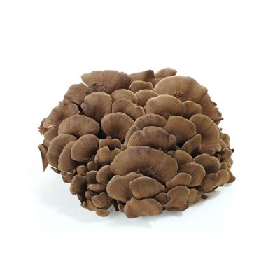 Maitake 150 g vanička