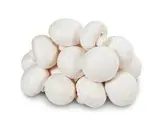 Žampiony bílé 40 - 60 čerstvé 2,5 kg