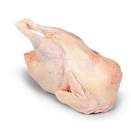 Slepice chlaz. váž. cca 1,1 kg