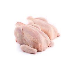 Kuře duo CZ chlaz. váž. cca 3 kg