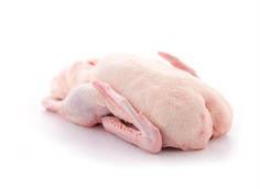 Kachna bez drobů chlaz. váž. cca 4,1 kg