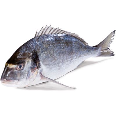 METRO Chef Pražma královská chorvatská ASC chlaz. váž. cca 250 - 400 g