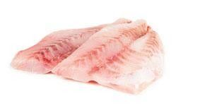 Okoun nilský filet chlaz. váž. cca 300 - 1100 g