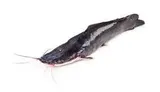 Sumeček africký celý kuchaný chlaz. 1 - 2 kg