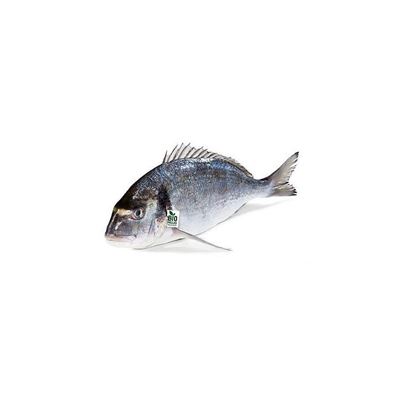 Pražma královská chlaz. váž. 300-400 g FR F4