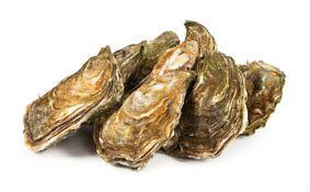 Ústřice velké Speciale geay N°2 24 ks chlaz. váž. cca 2,5 kg