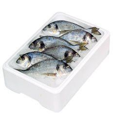 Pražma královská chorvatská bez šupin chlaz. váž. cca 250 - 350 g