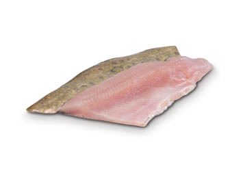 Siven severní filet ASC chlaz. váž. cca 200 - 400 g