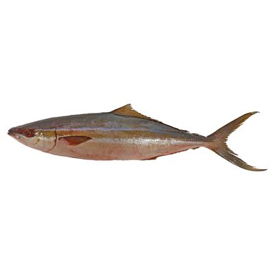 Kranas Americký nekuchaný chlaz. 3 - 4 kg