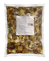 HOLOUBEK A PRAVNUCI Směs hřibovitých hub mraž. 1 kg
