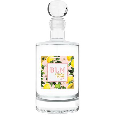 R. JELÍNEK BLN BIO Lemon Gin 41 % 500 ml