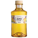 G'VINE June Gin Mangue Passion 37,5 % 700 ml