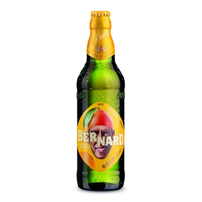 BERNARD Free Grep 20 x 500 ml vratná láhev
