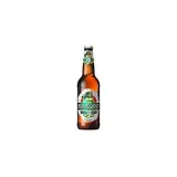 RADEGAST Rázná 10° pivo 20 x 500 ml vratná láhev