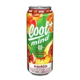 Cool Mind meruňka broskev 24 x 500 ml