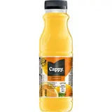 Cappy Nektar pomeranč 12 x 330 ml