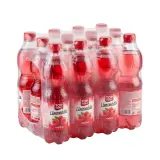 TOP TOPIC Limonáda malina 12 x 500 ml PET