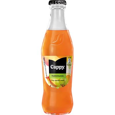 Cappy Multivitamín 52 % 24 x 250 ml vratná láhev