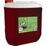 jupí Sirup lesní směs 10 l