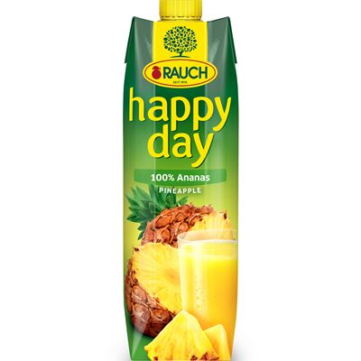 RAUCH happy day Ananas 100 % 1 l