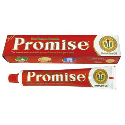 PROMISE Zubní pasta 150 g