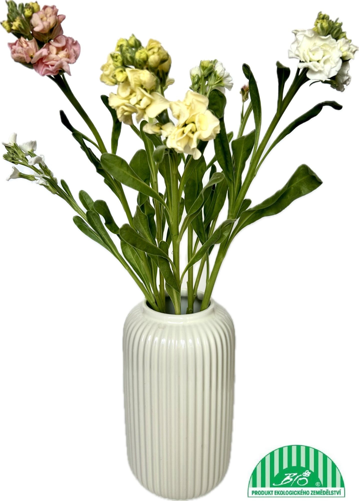Vitenplant BIO Fiala letní "Pastel Mix"