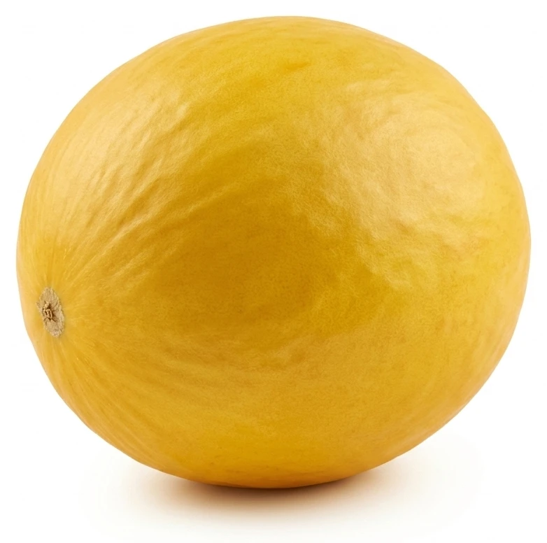 Meloun žlutý